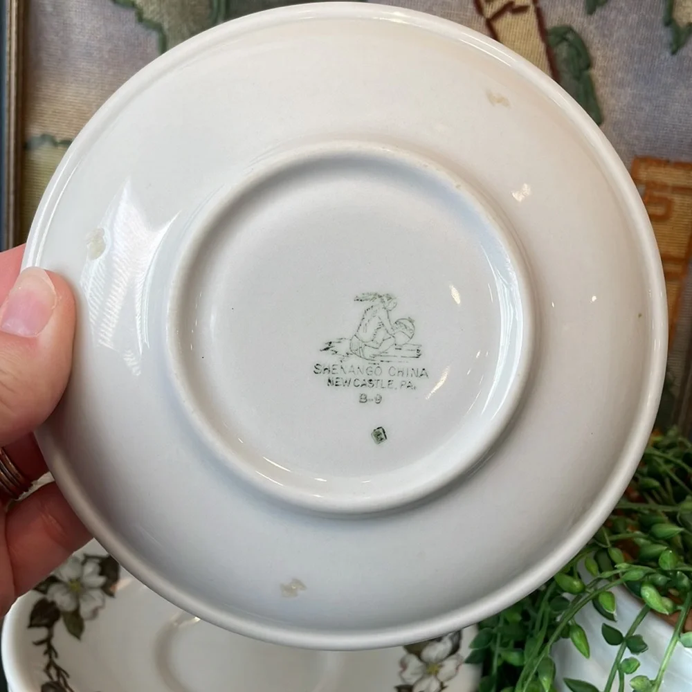 Vintage set shenango